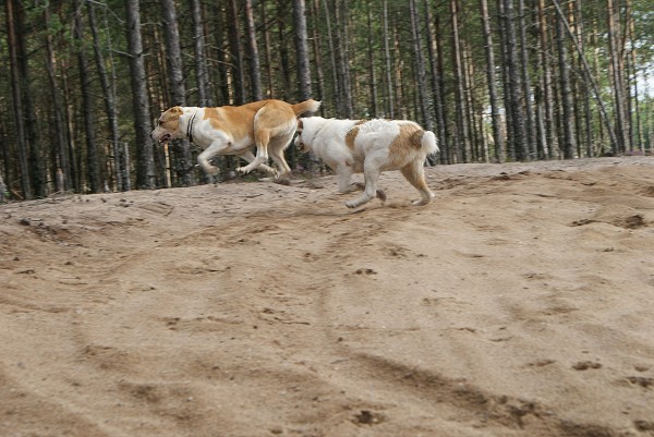 ALTYNBAY GYULDZHAN