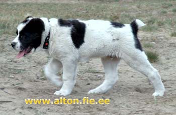 temir0805 2
